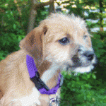 MADDY: 2008-2012: Wonderment, Joy, Optimism, Unqualified Love For Humanity